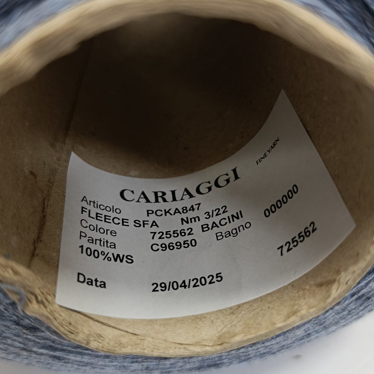 Пряжа Cariaggi Fleece SFA, кашемир бобинный, бассейн