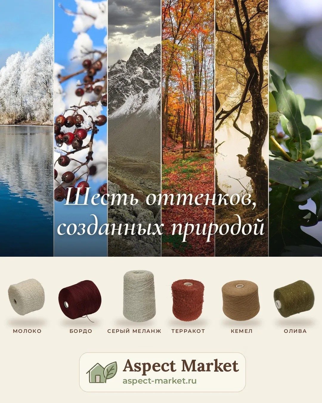 Природа — лучший колорист: шесть оттенков осени и зимы